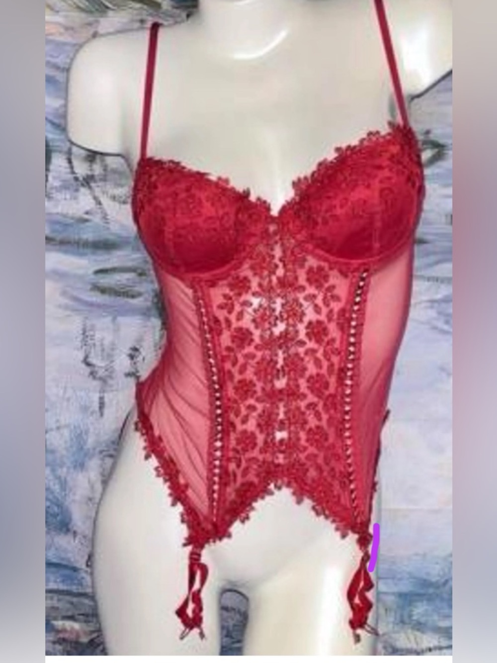 delicates‎ Red Lace corset Embroidered Bustier with Garter Straps